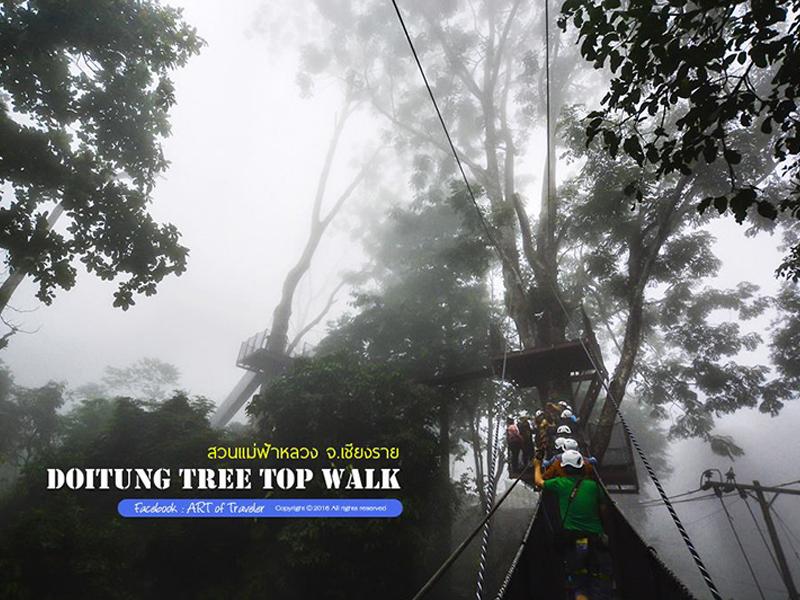 DoiTung Tree Top Walk
