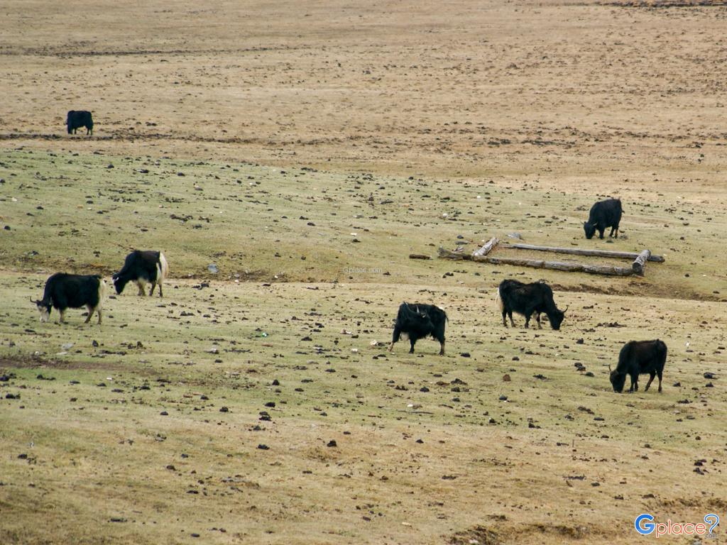 อุทยานแห่งชาติปู่ต๋าซั่ว