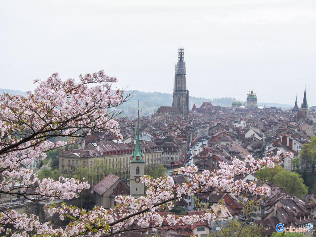 เที่ยวกรุงเบิร์น 1 วัน