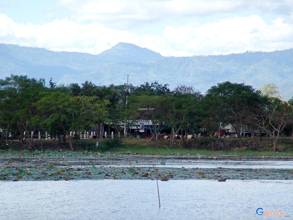 Pha Muang Arboretum