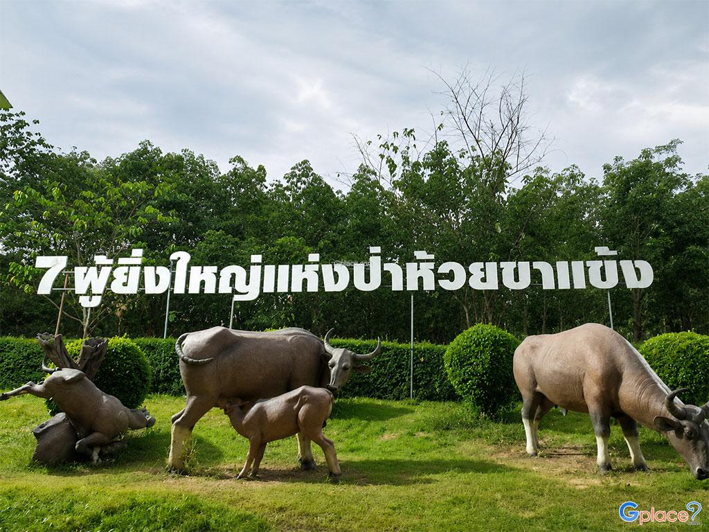 เขตรักษาพันธุ์สัตว์ป่าทุ่งใหญ่นเรศวร ห้วยขาแข้ง