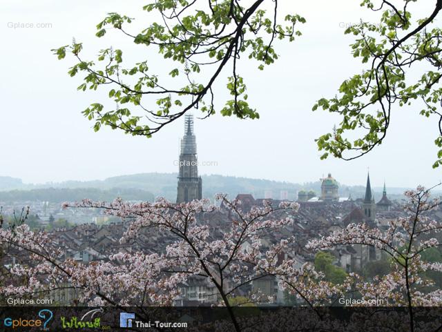 Rosengarten View Point of Bern Old Town