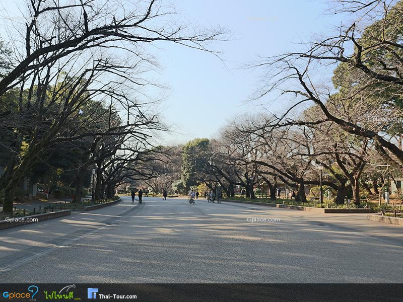 สวนสาธารณะอุเอโนะ Ueno Park
