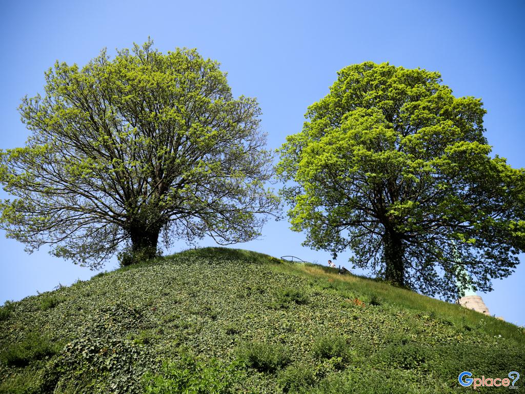 Castle Mound