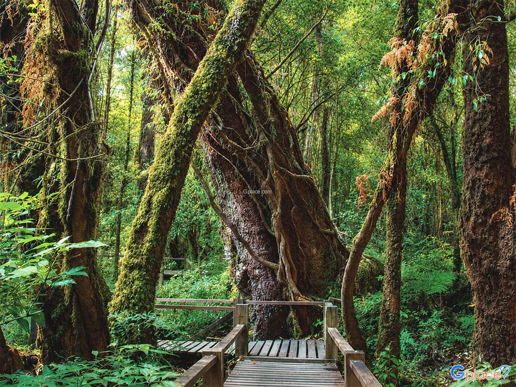 Aug Ka Nature Trail
