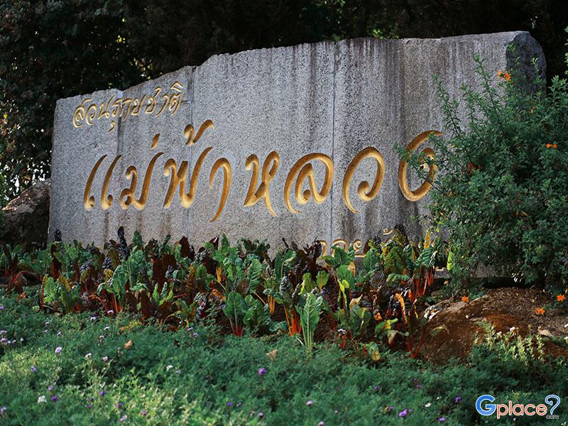 The Mae Fah Luang Arboretum