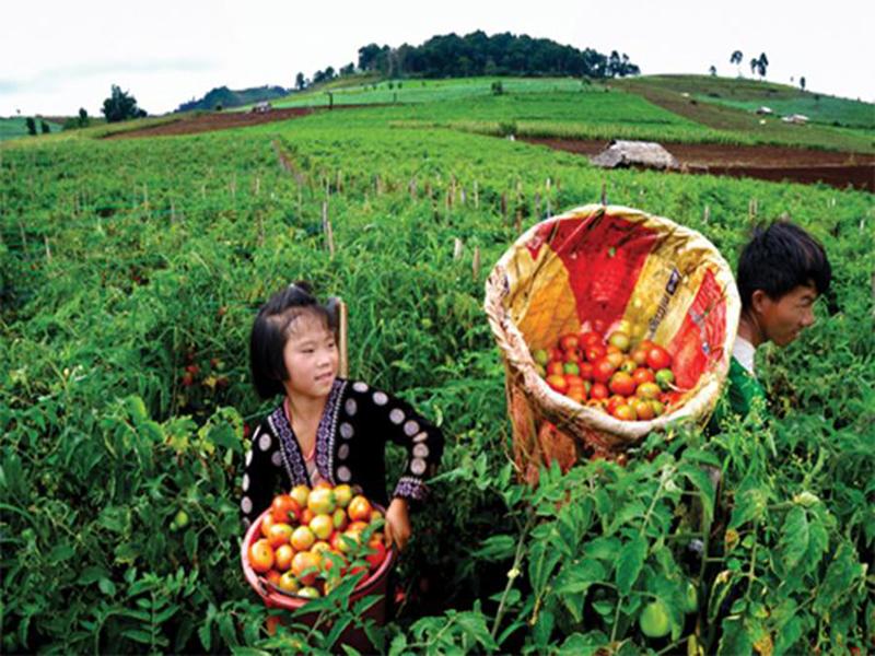 Pang Ung Agrotourism