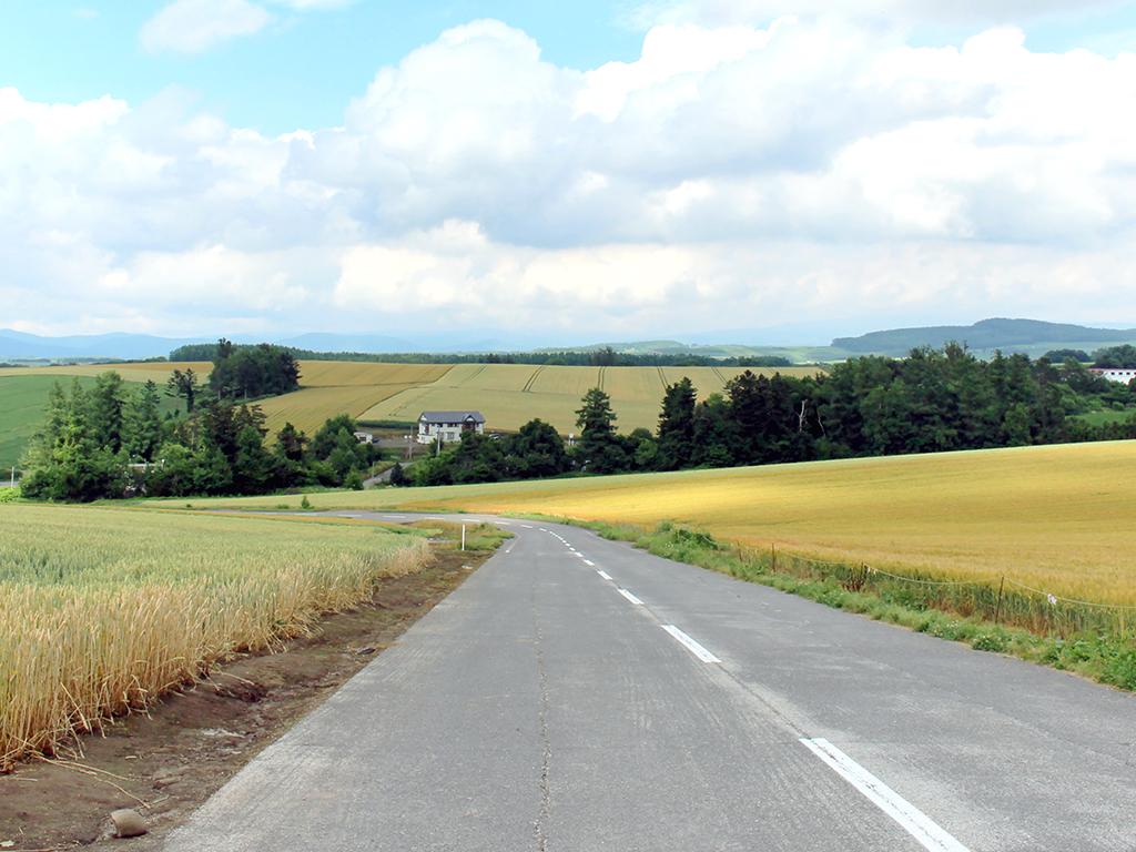 Patchwork Biei Road