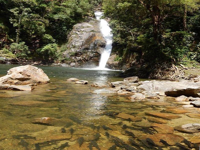 Yong Waterfall National Park