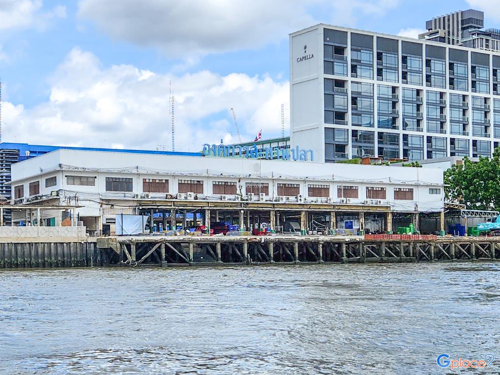 องค์การสะพานปลา