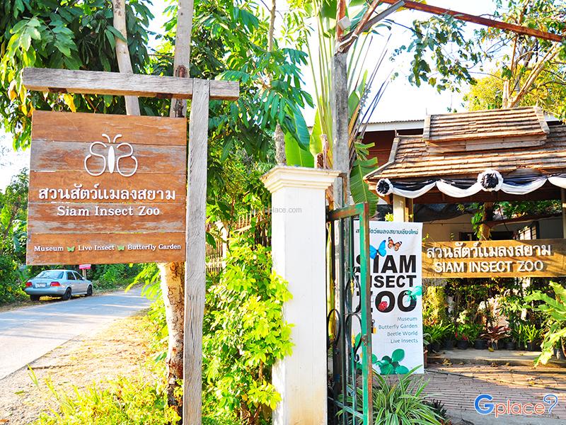 สวนสัตว์แมลงสยาม Siam Insect Zoo
