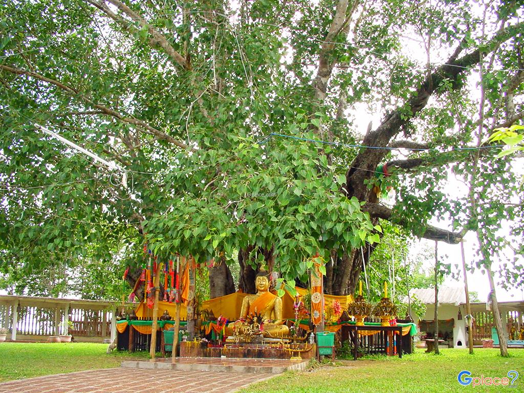 Wat Si Maha Pho