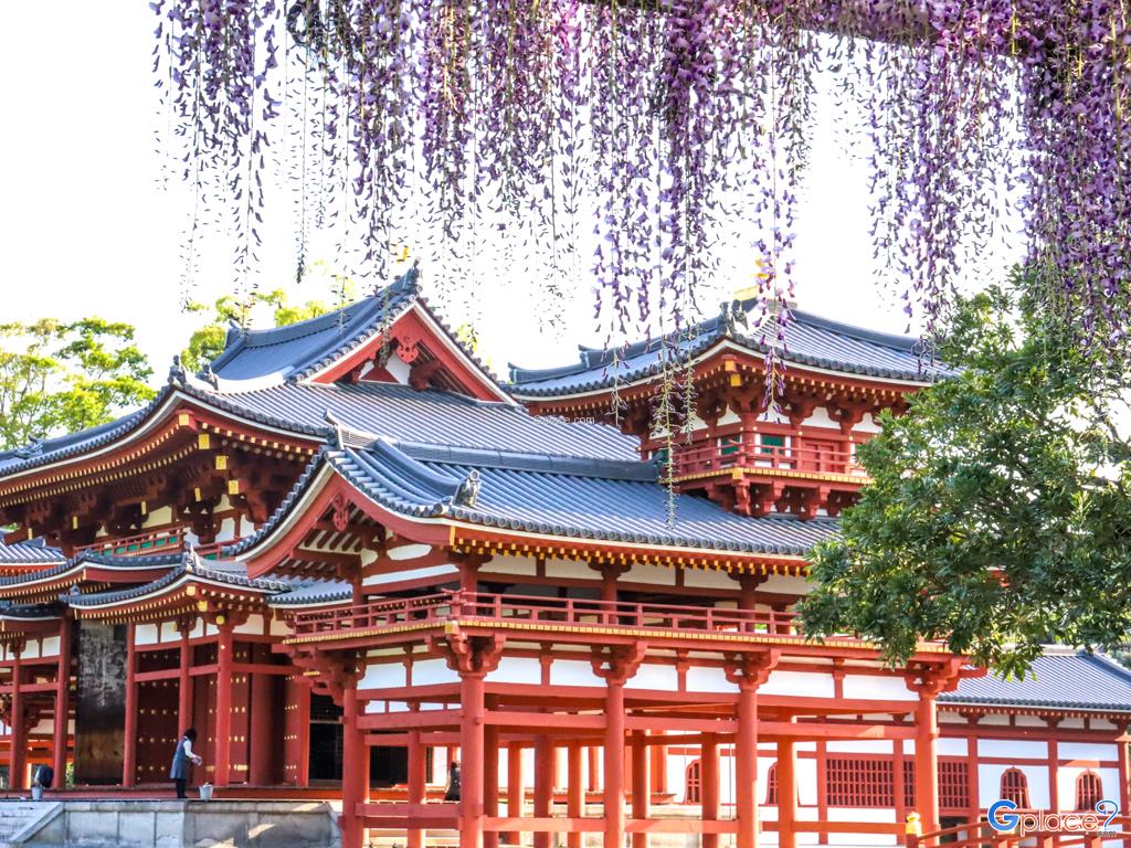 Byodoin temple