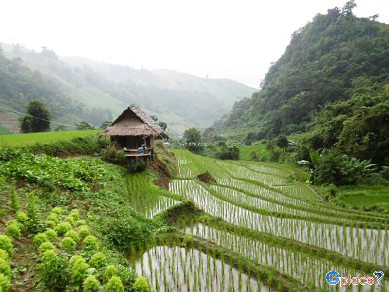 Kowit Maechaem Farmhouse