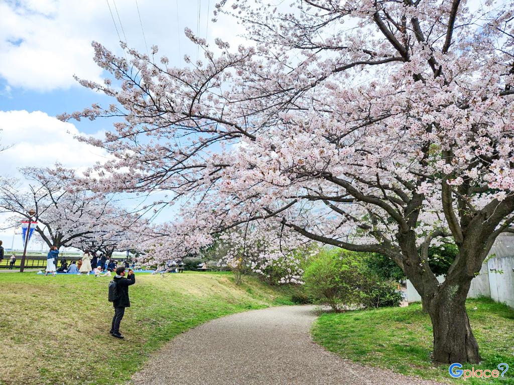 Shinyokohama Ekimae Park