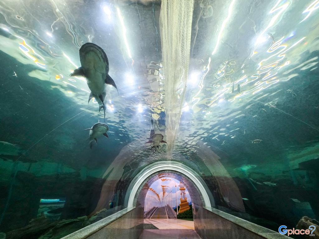 ศูนย์วิทยาศาสตร์เพื่อการศึกษานครพนม