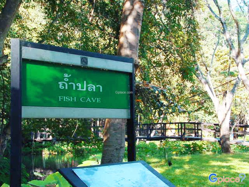 Tham Pla–Namtok Pha Suea National Park