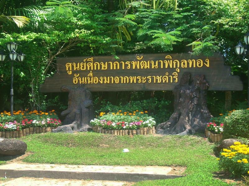 Phikun Thong教育发展中心