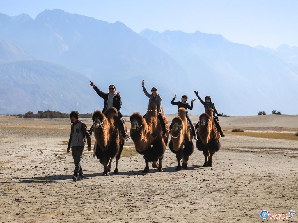 นูบร้าวัลเล่ย์ Nubra Valley