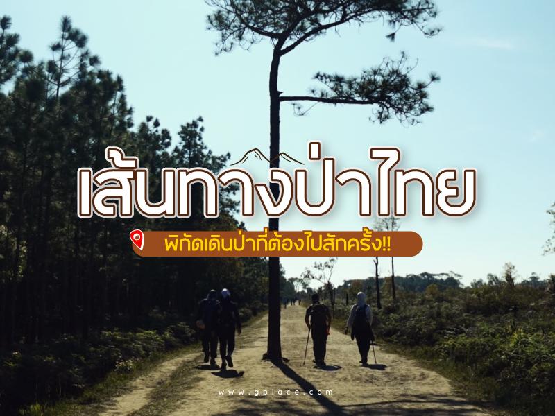 สุดยอดเส้นทางเดินป่า-เมืองไทย
