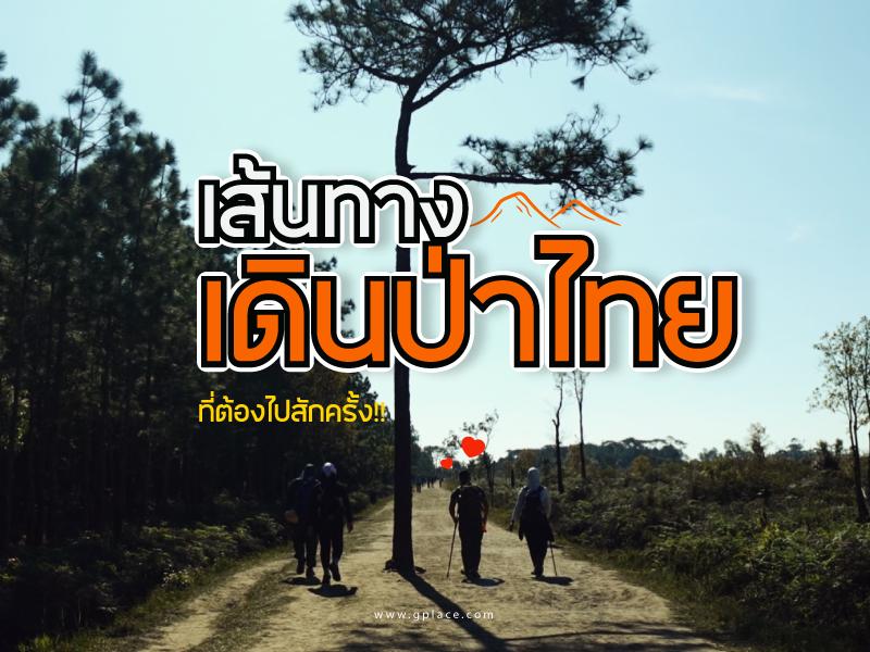 สุดยอดเส้นทางเดินป่า-เมืองไทย