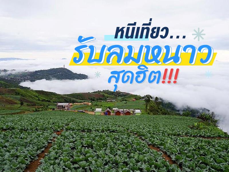 ที่เที่ยวหน้าหนาว ยอดฮิตทั่วไทย