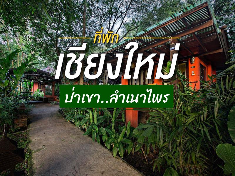 ที่พักเชียงใหม่ ป่าเขาลำเนาไพร