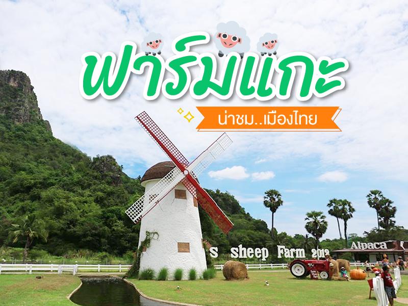 ฟาร์มแกะ น่าชม เมืองไทย