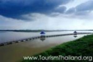 寒冷的早晨，观鸟节明星们